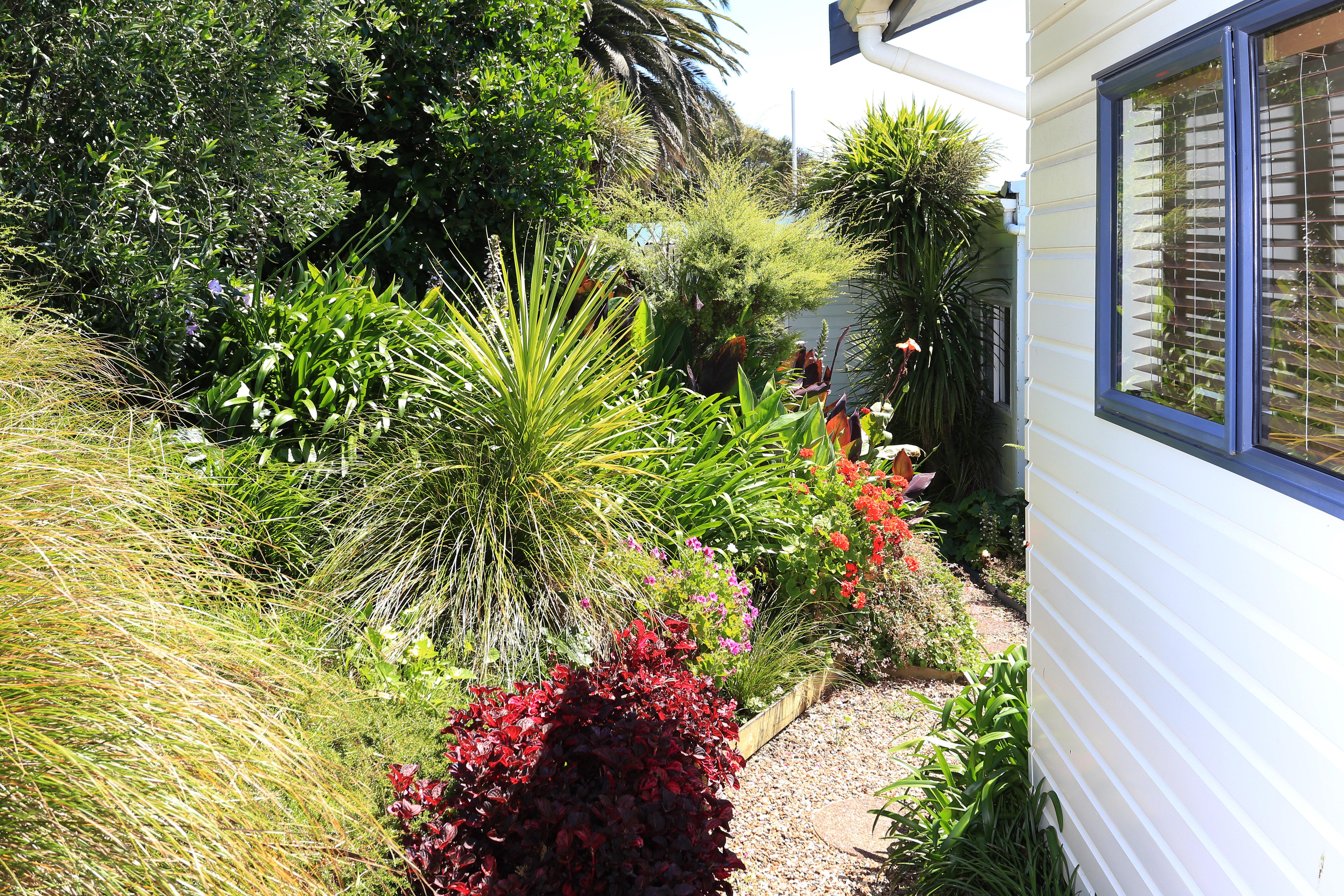 Waiheke Island Motel Ostend Exterior photo